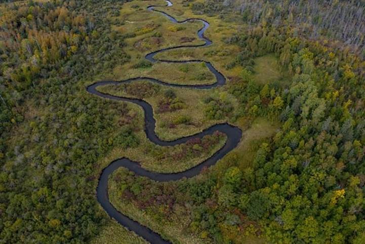 A river winding through a forest.