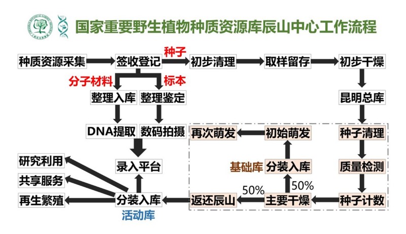 图7. 辰山中心工作流程图.jpg