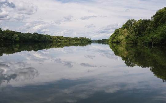 Landscape off of Rio Xingu, Rio Xikrin and Rio Bacaja.
