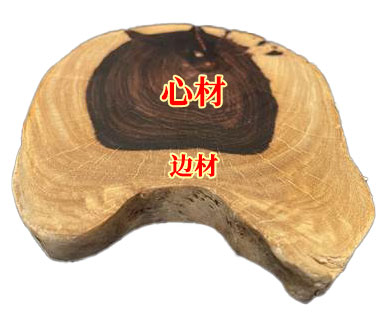 小叶紫檀原木横截面