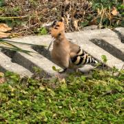 戴胜：渭南市临渭区杜桥街道
