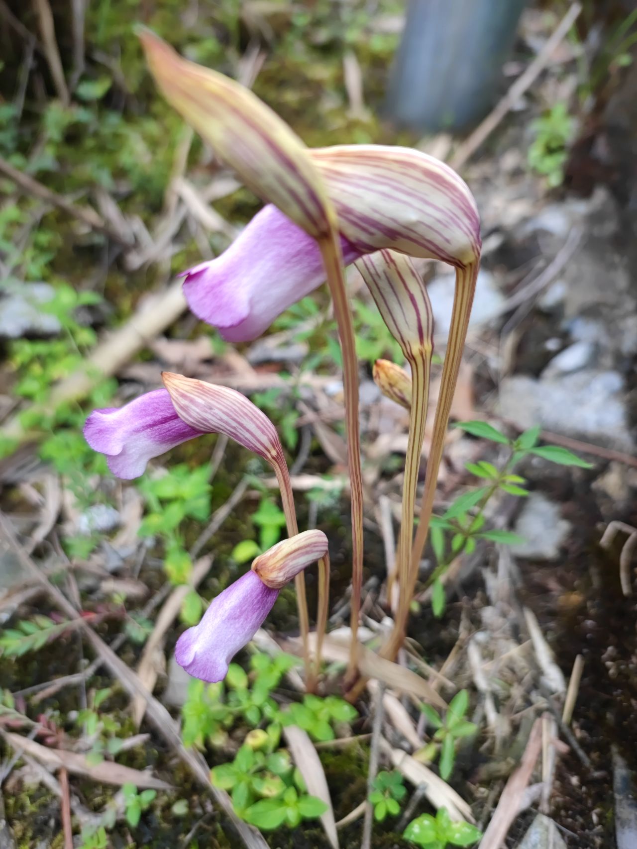 微信图片_20210816112914