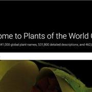43万6千种！2025全球植物名录年度更新
