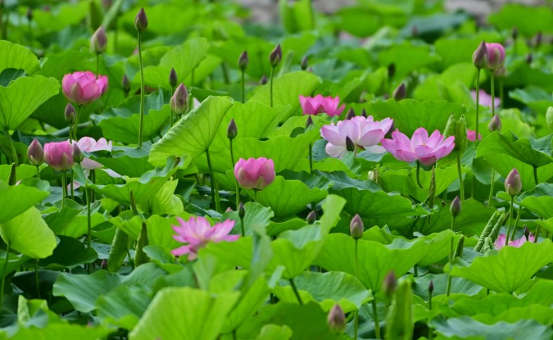 001-微信图片_20250717100210