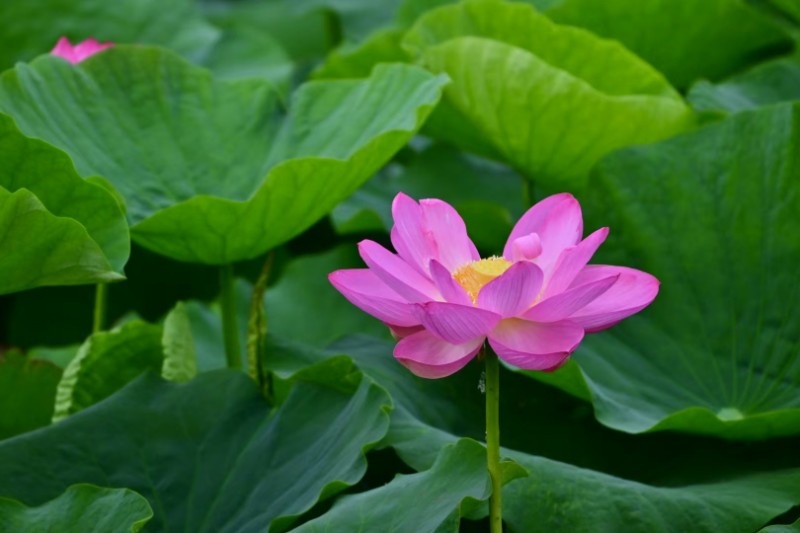 003-微信图片_20250717100337