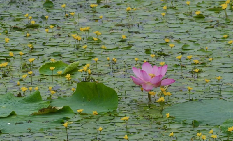 004-微信图片_20250717100333