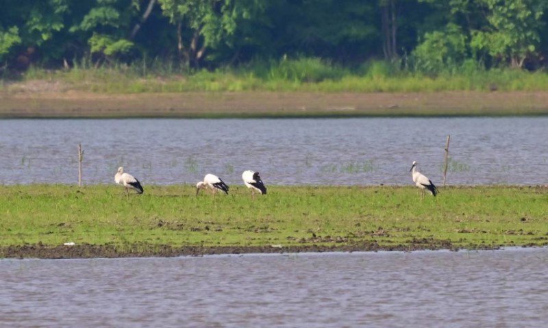 005-mmexport1750766707193