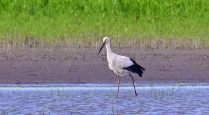 007-微信图片_20250606160114