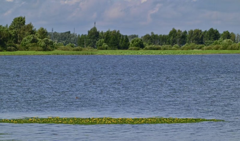 010-微信图片_20250717100507