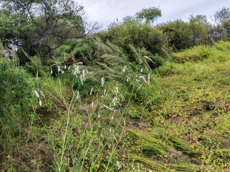 003-IMG_20250821_154349