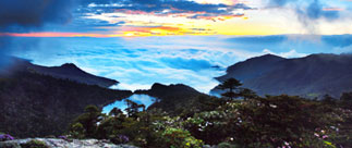 生物多样性保护