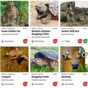 IUCN红色名录2025第1次更新：评估物种16.9万余种，超4.71万种面临灭绝威胁